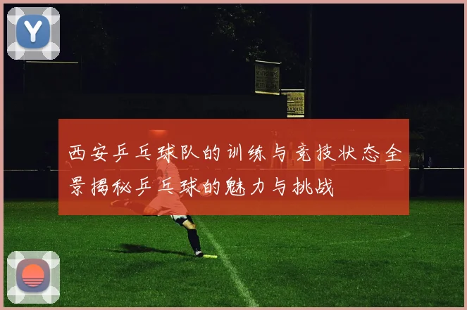 西安乒乓球队的训练与竞技状态全景揭秘乒乓球的魅力与挑战
